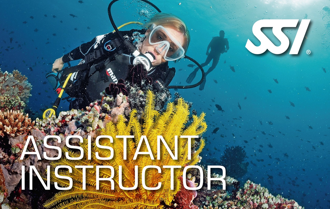 Image of SSI Assistant Instructor certification card